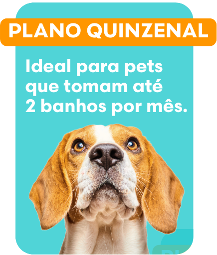 Dog-2.png